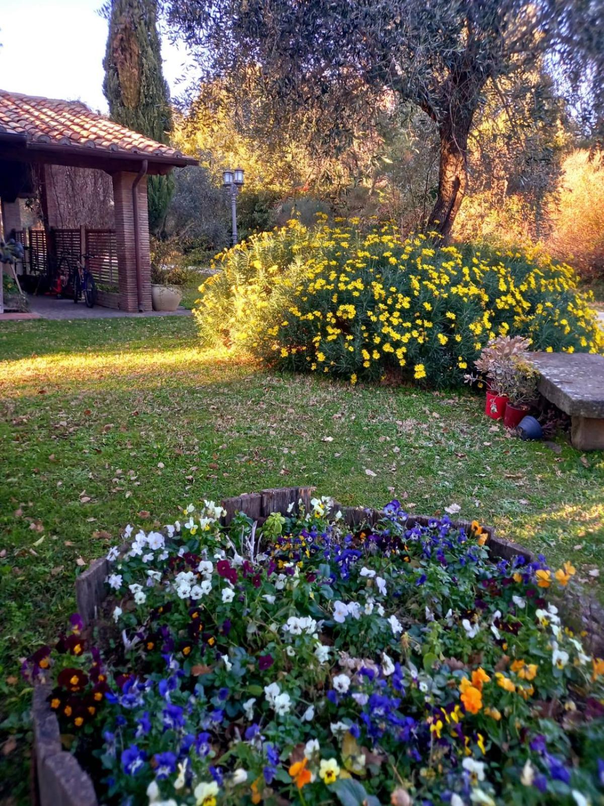 Bed and Breakfast La Chiesuola Bagnaia  Exterior foto