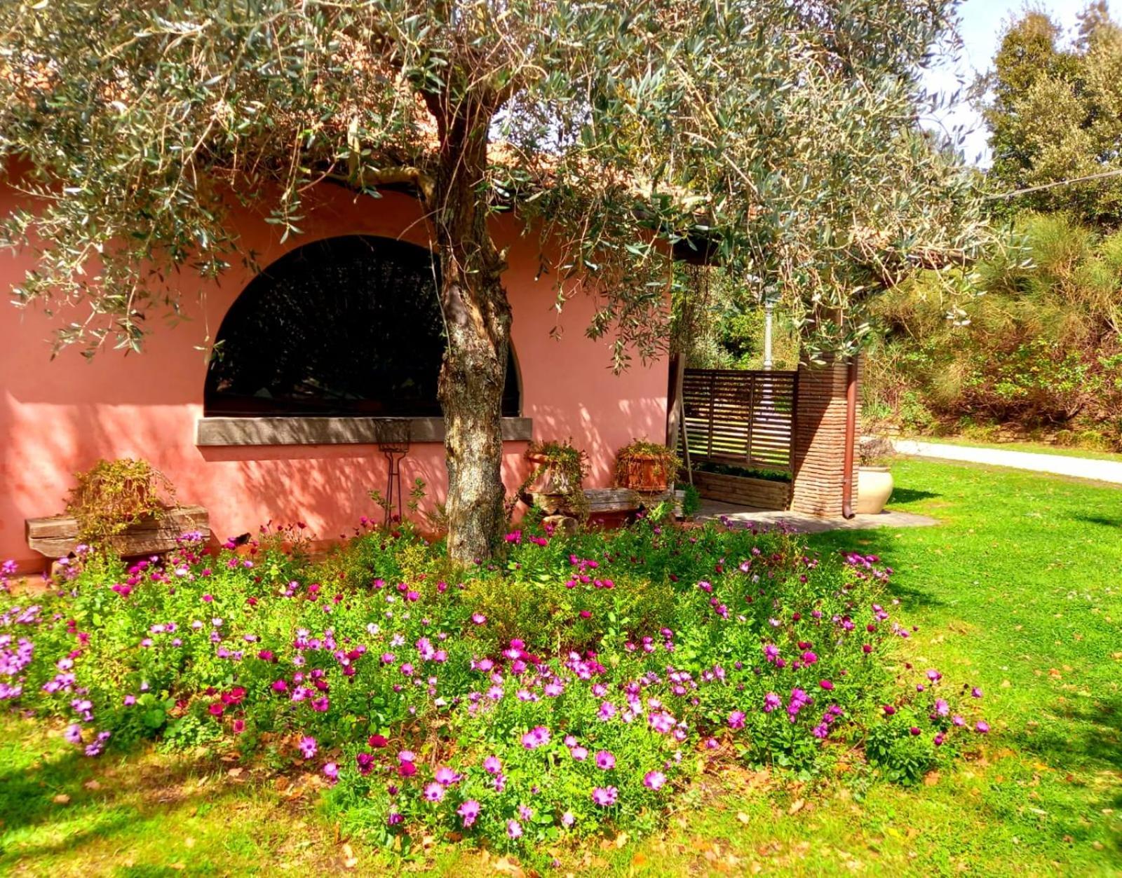 Bed and Breakfast La Chiesuola Bagnaia  Exterior foto