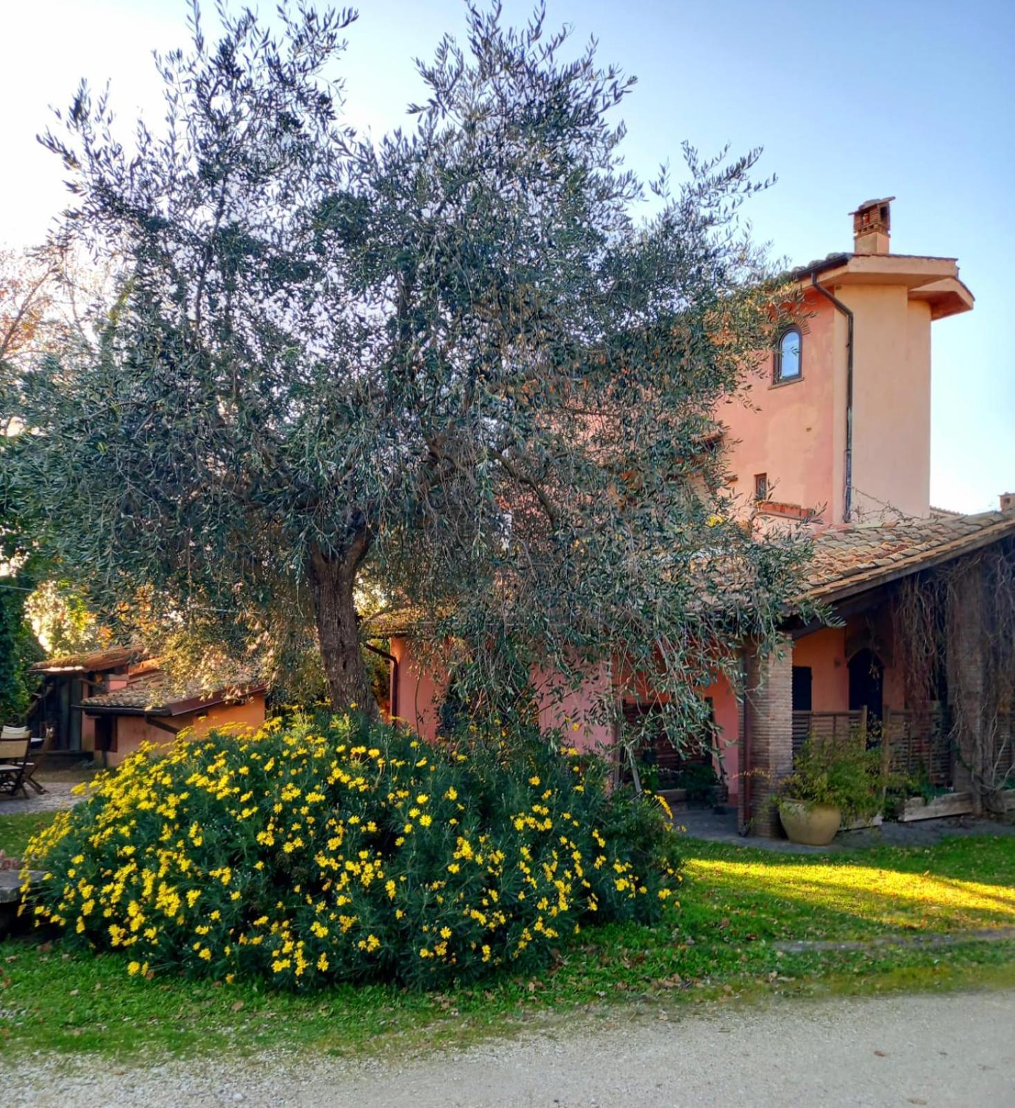 Bed and Breakfast La Chiesuola Bagnaia  Exterior foto