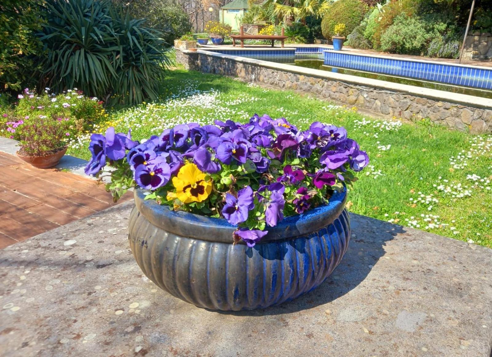 Bed and Breakfast La Chiesuola Bagnaia  Exterior foto